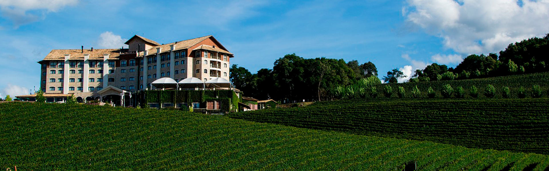 Vale dos Vinhedos