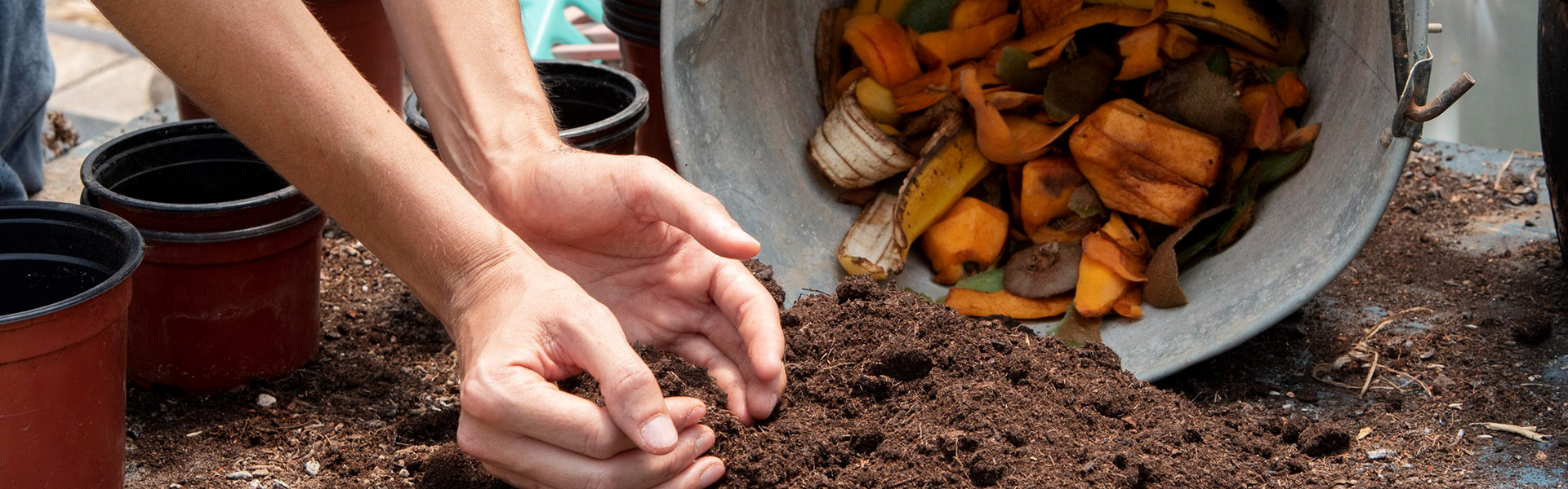 plantio direto com restos orgânicos