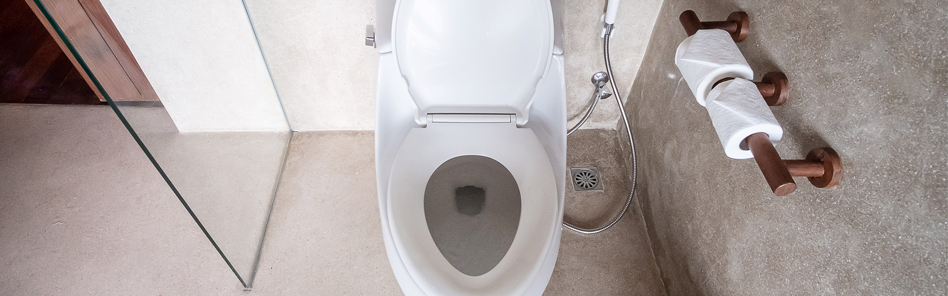 importância de abaixar a tampa do vaso antes de descarga