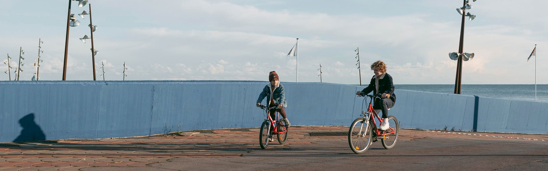 impacto ambiental caminhar ou pedalar
